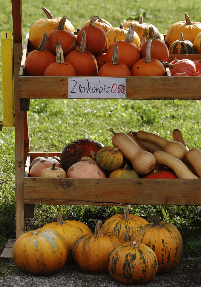 Austria szykuje się na Halloween