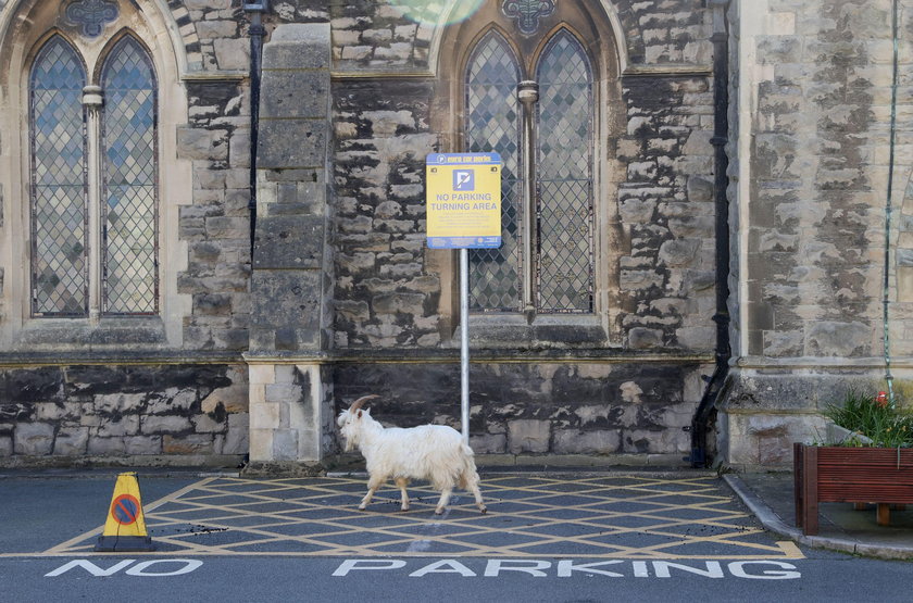 Llandudno