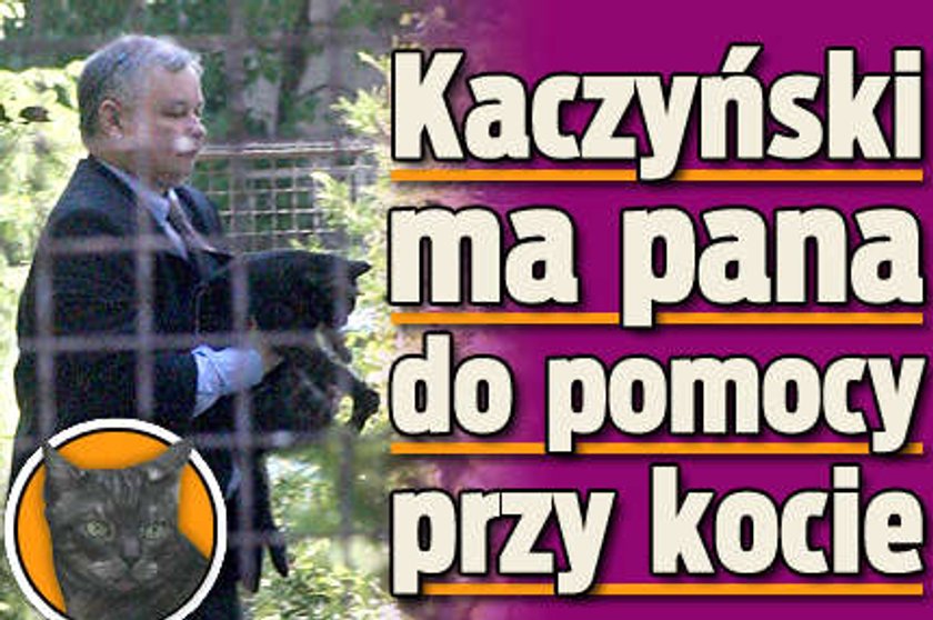 Kaczyński ma pana do pomocy przy kocie