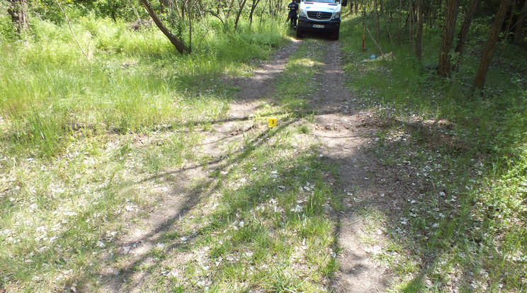 A halott nő bűncselekmény áldozata lett / Fotó: police.hu