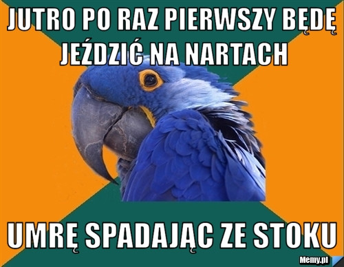 Najlepsze memy o jeździe na nartach