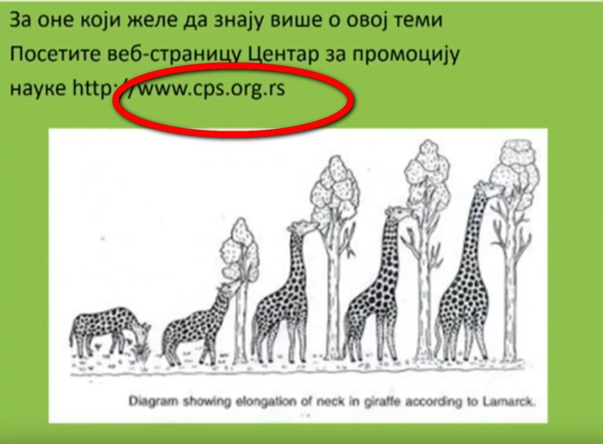 Sporni sajt u onlajn lekciji