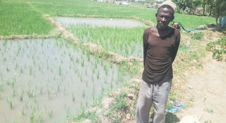 A Farmer on his farmland [Dailytrust]