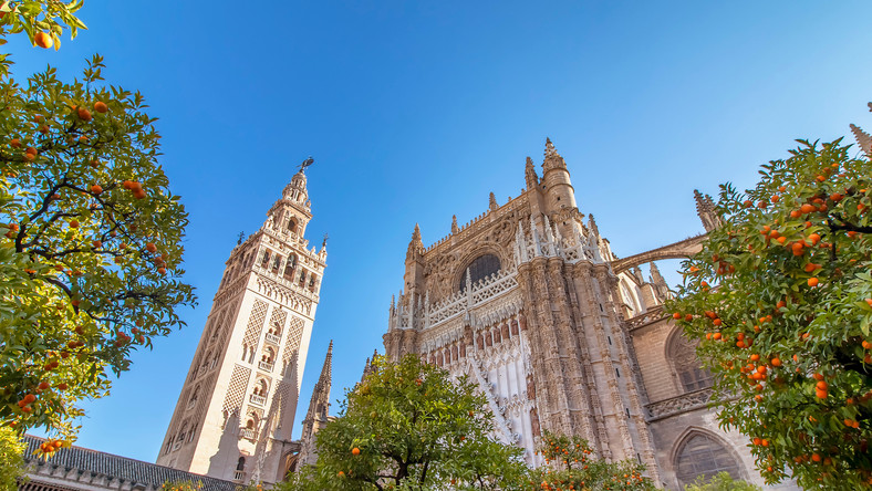 Katedra, alkazar i Główne Archiwum Indii w Sewilli to obiekty wpisane na listę światowego dziedzictwa kulturowego UNESCO w 1987 roku, ze względu na ich wyjątkowe walory dla kultury i historii świata.