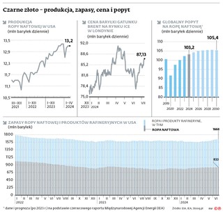 Czarne złoto – produkcja, zapasy, cena i popyt
