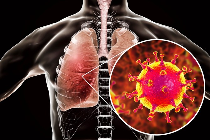 Korona virus i pluća