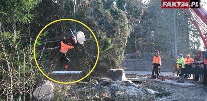 O krok od tragedii. Ucinał świerk dla papieża, gdy nagle... ZOBACZ WIDEO