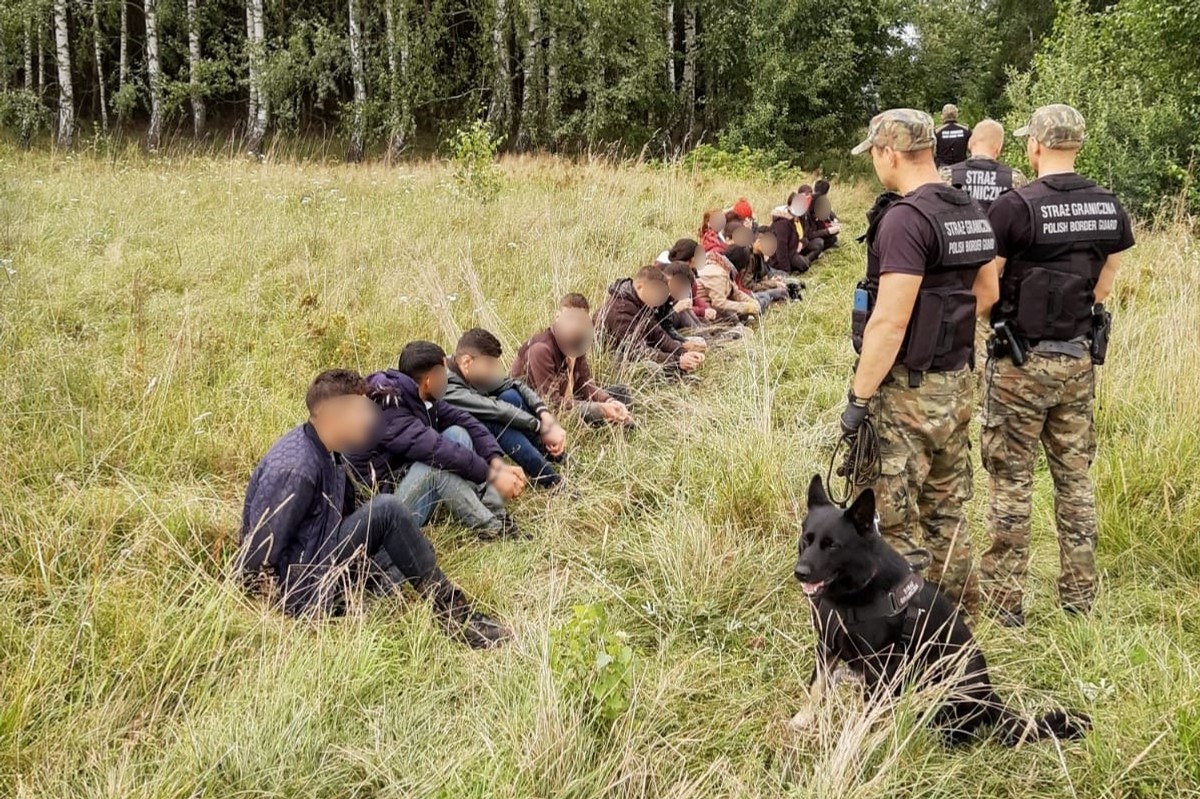 Łukaszenka wysyła imigrantów na polską granicę. Działania hybrydowe przy granicy - Polityka - Vimarsana News