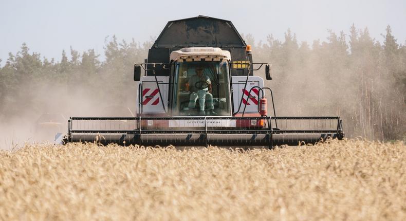 Harvesting of grains in Zaporizhzhia Region, Ukraine.