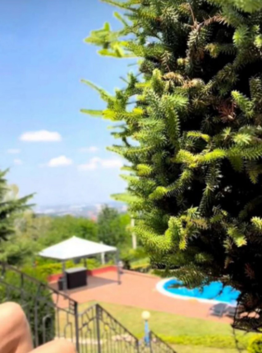 Kristina Radenković