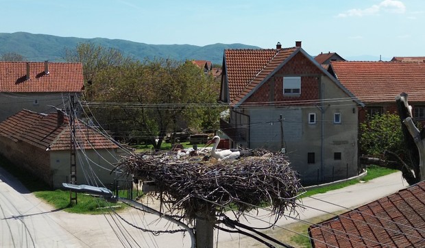 Rode u selu Donje Međurovo
