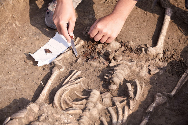 Archeolog bada kości