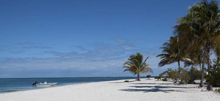 Barbuda, Plaża Północna (North Beach)