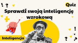 Szybki test na inteligencję wzrokową. 10 pytań pokaże, co potrafi twój mózg [QUIZ]