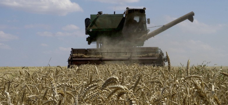 "Mają wiele do stracenia". Niedostrzeżona wojna o zboże. Kreml atakuje, Kijów ma plan