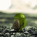 Android na cenzurowanym. Google odrzuca zastrzeżenia Komisji Europejskiej