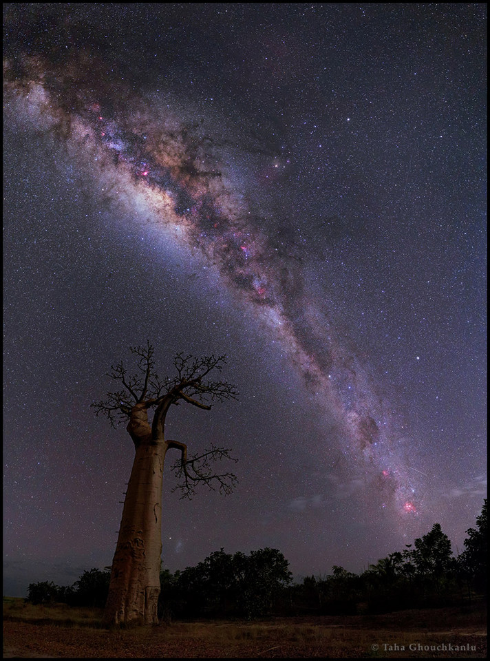 Noc baobabów