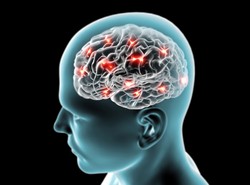 10 największych mitów na temat mózgu. Czas je obalić
