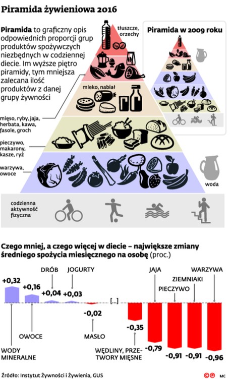 Piramida żywieniowa 2016