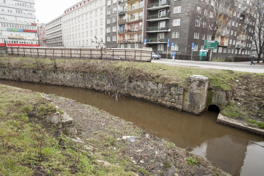 Katowice. Oczyszczanie Rawy