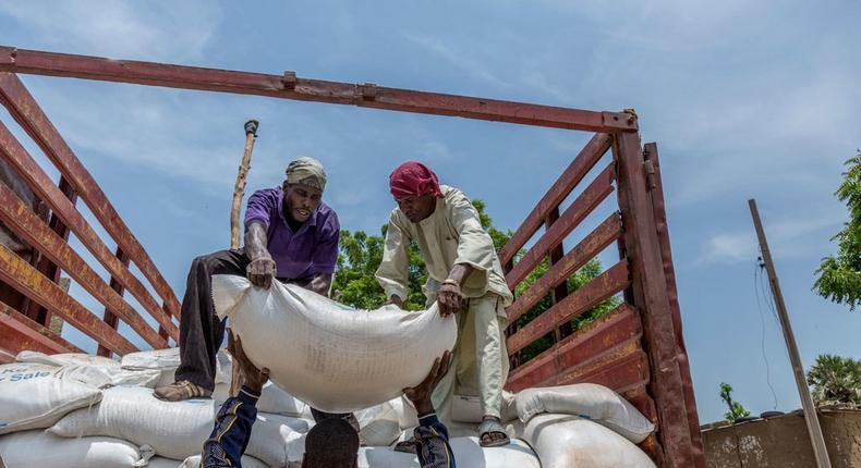 Food aid being distributed to internally displaced people (IDPs) in Banki IDP camp, Borno state, northeast Nigeria