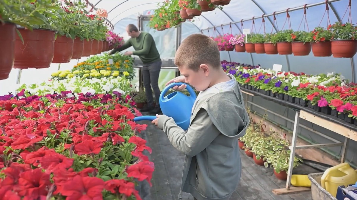 Tabaševići i Jusovići počeli sa jednim plastenikom, a sada imaju rasadnik za ponos: Unosna proizvodnja cveća za sve generacije (FOTO)