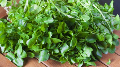 Naukowcy wyłonili najzdrowsze warzywo świata. Nie mają wątpliwości