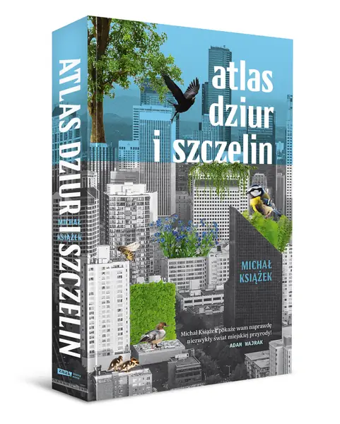 &quot;Atlas dziur i szczelin&quot;