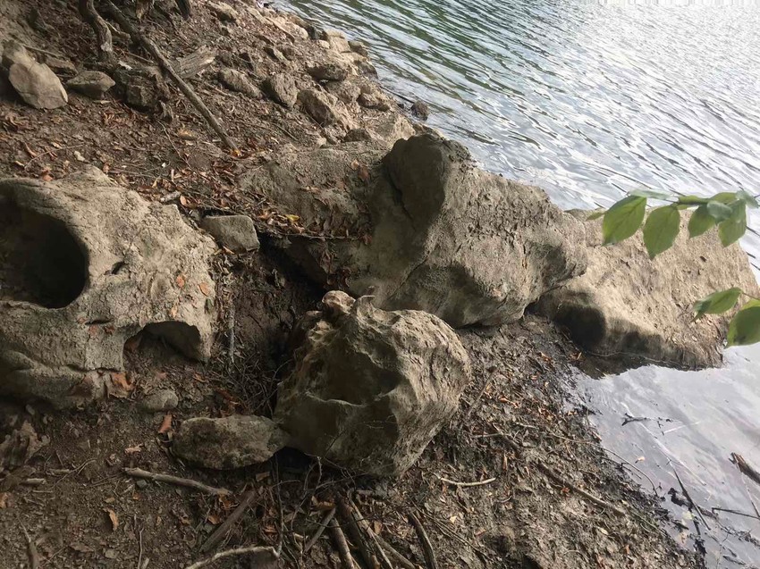 Kompozicija stenja ili ostaci džinovske kornjače