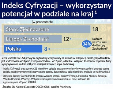 Indeks Cyfryzacji - wykorzystany potencjał w podziale na kraj