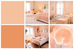 Kolor roku 2024 wybrany. Ma odzwierciedlać pragnienie bliskości