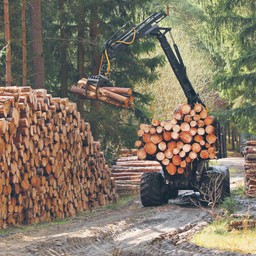 Drewno z lasu na papier i meble, a nie do palenia