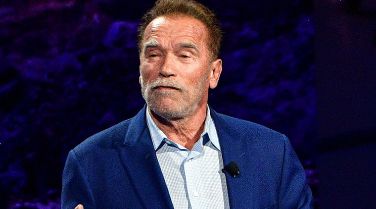 Arnold Schwarzenegger vesztesnek nevezte az antiszemitákat /Fotó: Northfoto
