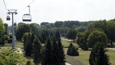 Dzień Dziecka Dorosłego w Parku Śląskim