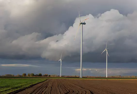 "Sektor energetyki odnawialnej potrzebuje szybkich i głębokich zmian"