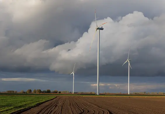 "Sektor energetyki odnawialnej potrzebuje szybkich i głębokich zmian"