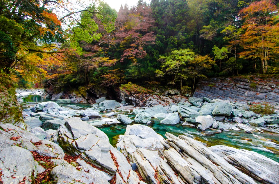 Sikoku, Japonia -
łaźnie dla ciała, wędrówki dla duszy