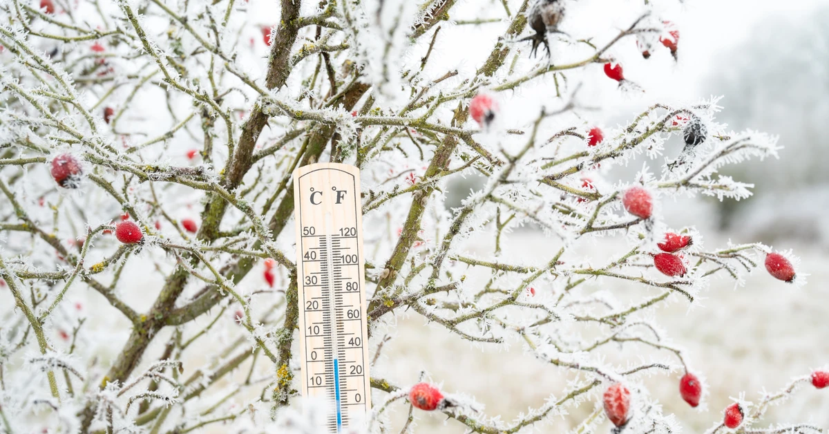 Ekstremalne ochłodzenie w drodze. Nocą choćby do -30 stopni mrozu!