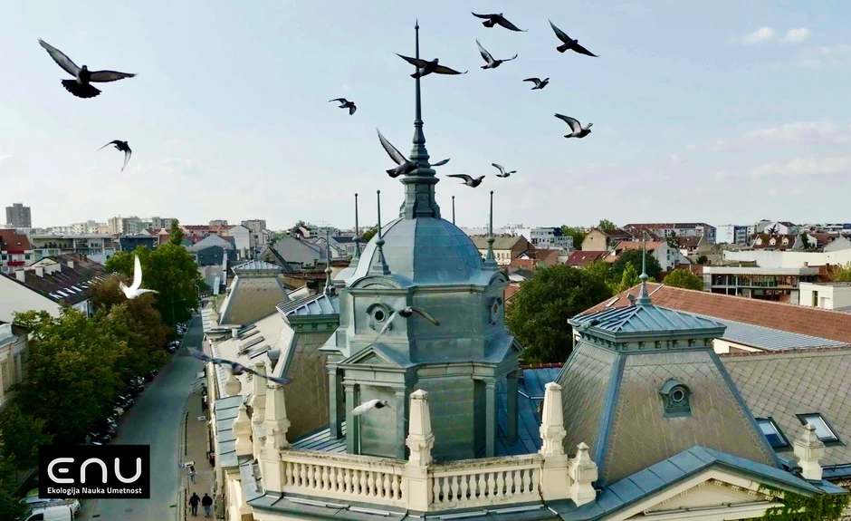 Film "Legati Matice srpske: Matičin grb" 