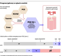 Elektrownia atomowa w Polsce: PGE, KGHM, Tauron i Enea mogą nie udźwignąć inwestycji