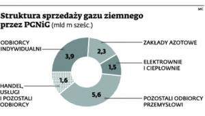 Struktura sprzedaży gazu ziemnego przez PGNiG