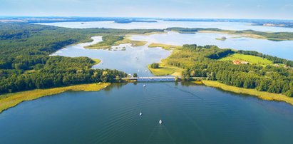 Tu mieszkają żubry i bociany