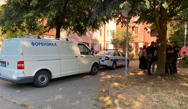 Bežanijska kosa hronika