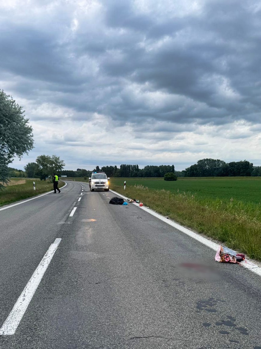 Pri dopravnej nehode v okrese Nové Zámky prišla o život chodkyňa.