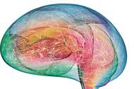 Colorful Brain Energy Activity