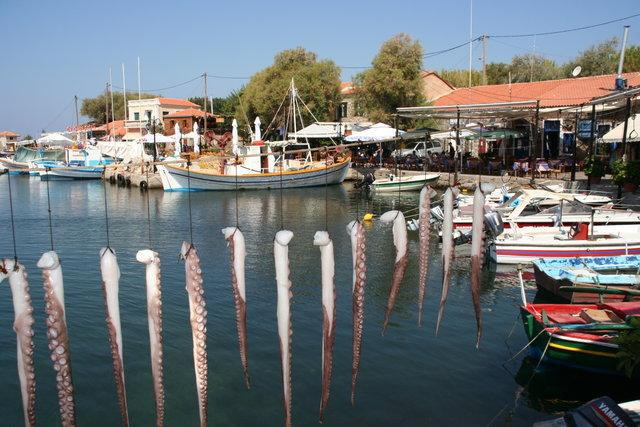 Galeria Grecja - Lesbos, obrazek 21