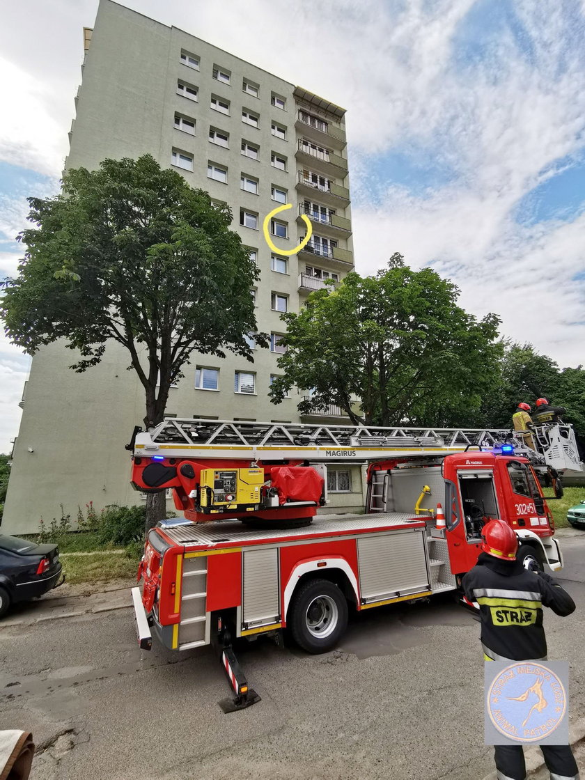 O krok od tragedii w Łodzi! Pies leżał na parapecie na szóstym piętrze