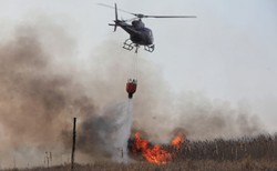 W lasach w niemal całym kraju panuje najwyższy stopień zagrożenia pożarowego