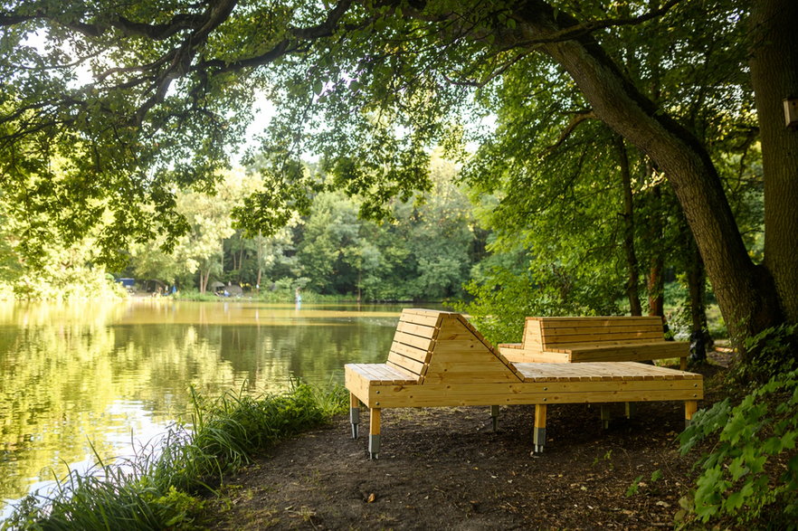 Zrobili pięć unikalnych mebli z drewna. Trafiły do poznańskich parków