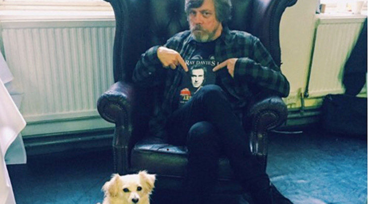 Mark Hamill és Millie elválaszthatatlanok, most 
mégis külön
kellett „bulizniuk” /Fotó: Profimedia-Reddot